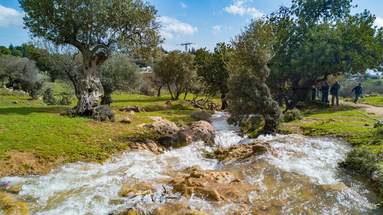 נחל פרוד